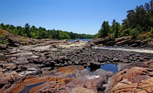 Untamed Wilderness